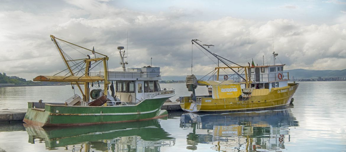 EcoScope: Novo projecto europeu para melhorar a gestão das pescas