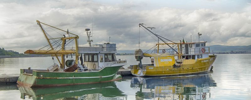 EcoScope: New European project to improve fishery management